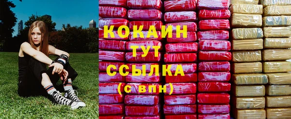 шишки Лихославль