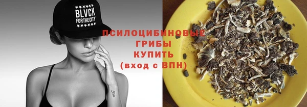 мдпв Лиски