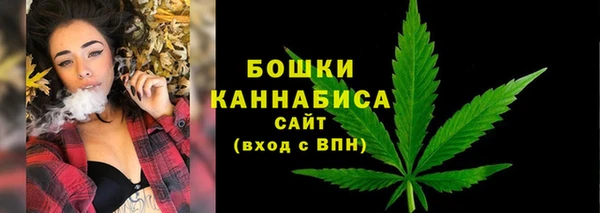 шишки Лихославль