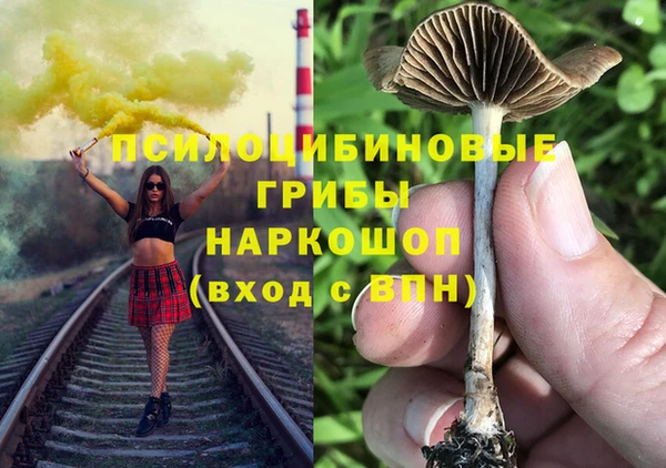 шишки Лихославль